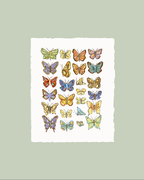 Papillons de Bourgogne