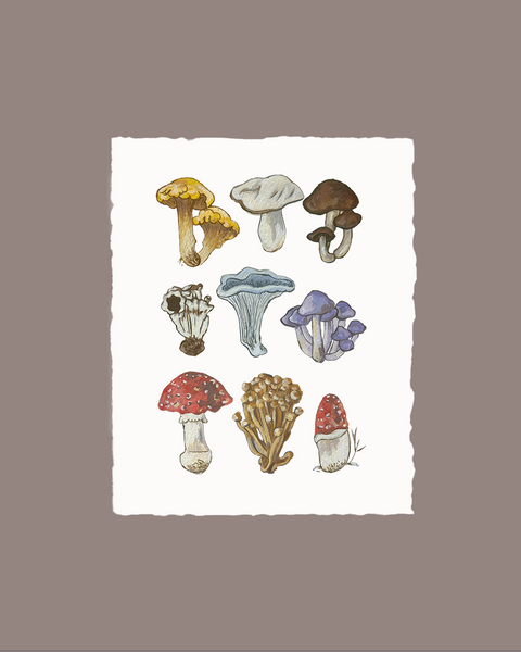 Mushrooms