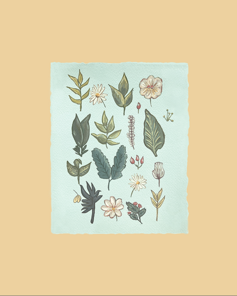 Garden leaves 🍃