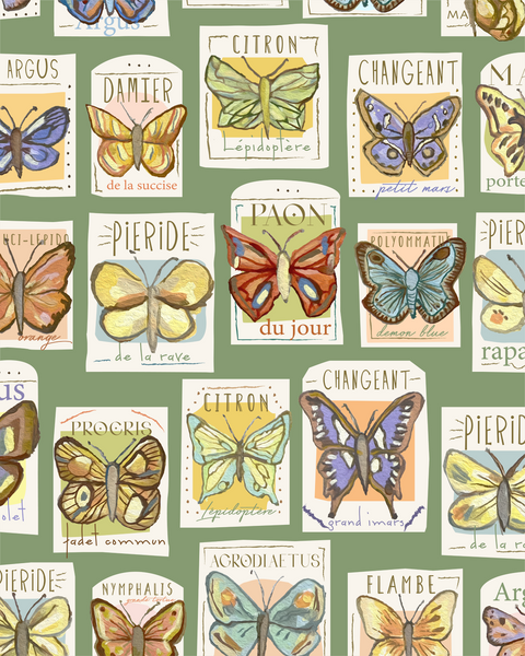 Papillons de Bourgogne